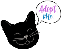 Adopt Me Black Cat Sticker by HeARTs Speak