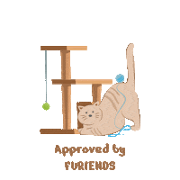Arriving Coming Soon Sticker by Shopthepaw