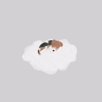 breadcrumbsclub  GIF