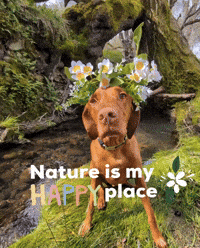Nature Is My Place GIF