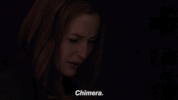 scully mulder GIF by The X-Files