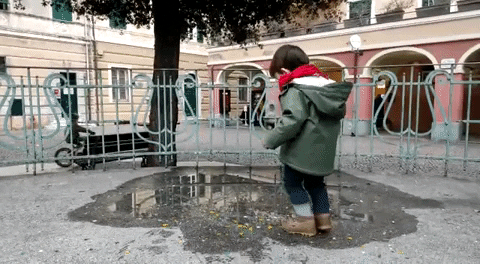 entalpia giphyupload GIF