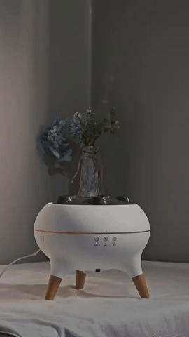 Amitpik giphyupload GIF