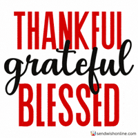 Happy Thanksgiving Ecards GIF by sendwishonline.com