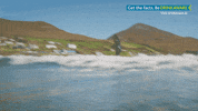 GIF by Rockshore
