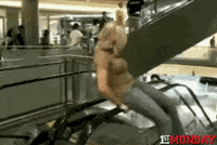 GIF by FirstAndMonday