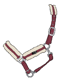 Horsefitting Sticker by RidersDeal