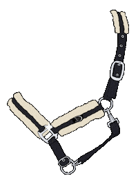 Horsefitting Sticker by RidersDeal
