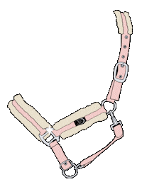 Horsefitting Sticker by RidersDeal