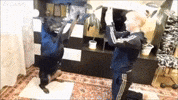 Doberman GIF by ViralHog