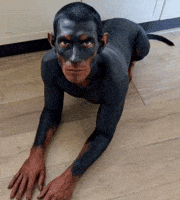 Dog Man Doberman GIF