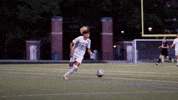 Mens Soccer GIF by Norwich University
