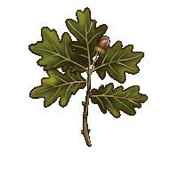 Fall Tree Sticker