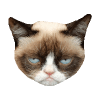 fuck you STICKER by imoji