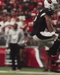 Celebrate Deandre Hopkins GIF by Arizona Cardinals
