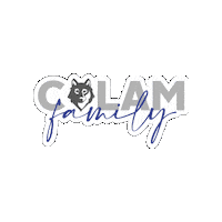 Kindercolam Sticker by KÍNDER MULTIMEDIA - COLAM