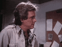 V Lowpursuit GIF