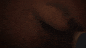 Loop Eye GIF by Xbox