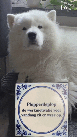 Motivation Benji GIF