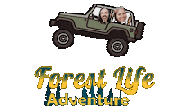 ForestLife forestlife forestlifeadventure Sticker