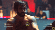 karatecombat sports karate karatecombat GIF