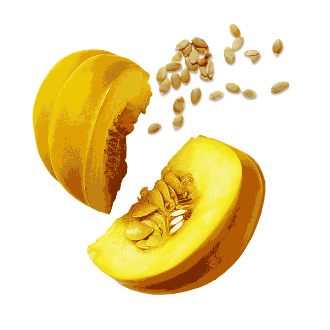 Soul-Origin giphyupload pumpkin soup veggies Sticker