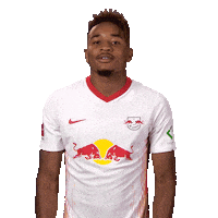 Red Bulls Football Sticker by Bundesliga