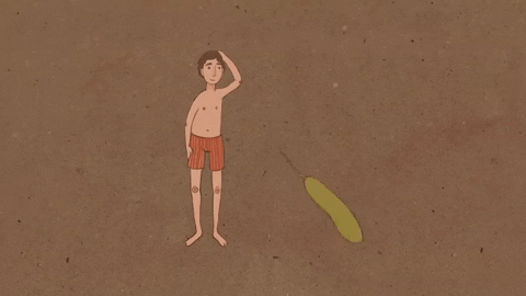 gelgalarrita giphyupload GIF