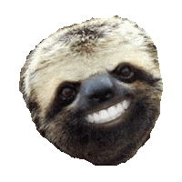 sloth STICKER by imoji