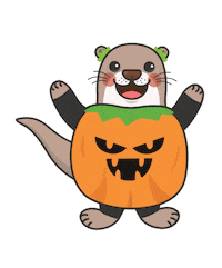 Pumpkin Vanwest Sticker by vanwestcollege