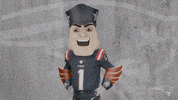 Football Reaction GIF by New England Patriots