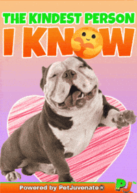 PetJuvenate petjuvenate henlo hooman fren love rescue dogs treatos and woofer for pupper GIF