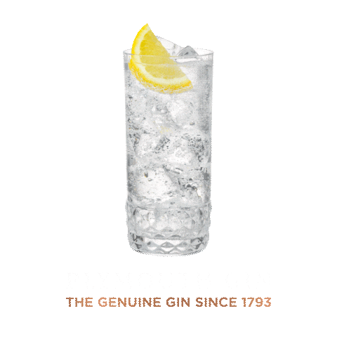 PlymouthGinGlobal giphyupload drink alcohol gin Sticker