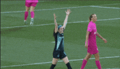 Celebrate New York GIF by National Women's Soccer League