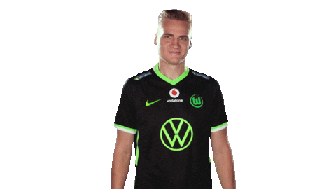 E Sports Sport Sticker by VfL Wolfsburg