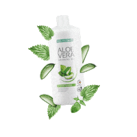 Aloe Vera Sticker by LR Health & Beauty