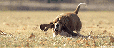 slow motion GIF