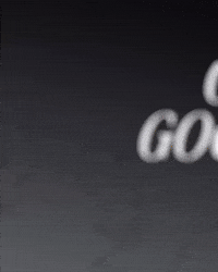 Vasco Da Gama Ph GIF