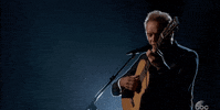 oscars 2017 sting GIF by The Academy Awards
