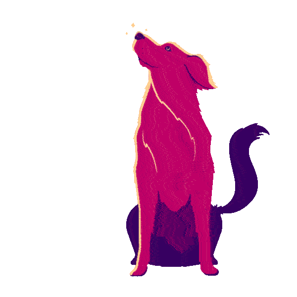 jackwatson05 giphyupload space stars doggo Sticker