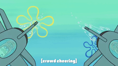 season 9 episode 24 GIF by SpongeBob SquarePants