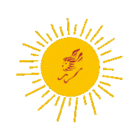 Summer Sun Sticker by Marina Di Venezia