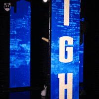 Mascot GIF by Denver Nuggets