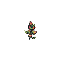 Flowers Buds Sticker by Future Harvest