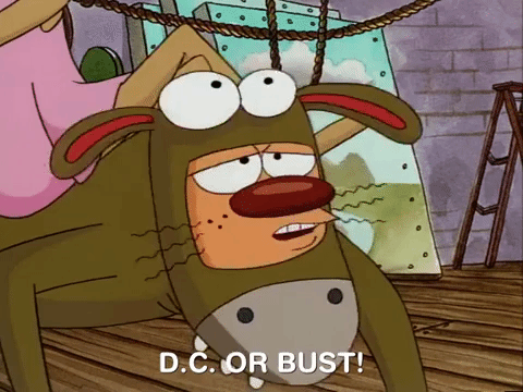 nicksplat GIF