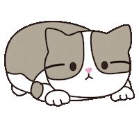 happiter__ 고양이 댄스 춤 신나 Sticker