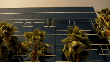 lethal weapon GIF by Fox TV
