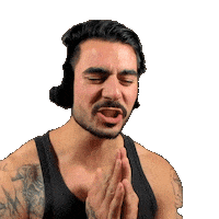 Streamer Please Sticker