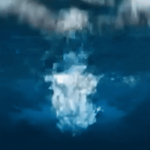 Under The Sea Diving GIF by VeeFriends