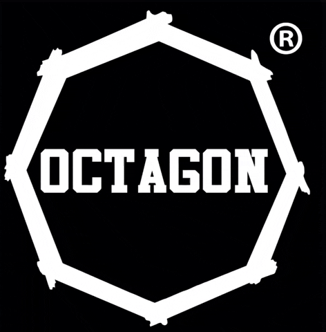 OCTAGON_fw giphygifmaker octagon tyleszansileodwagi włączodwagę GIF